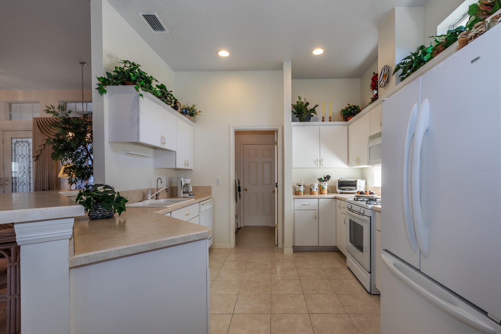 27525 DISCOVER CT, LEESBURG, FL, 34748