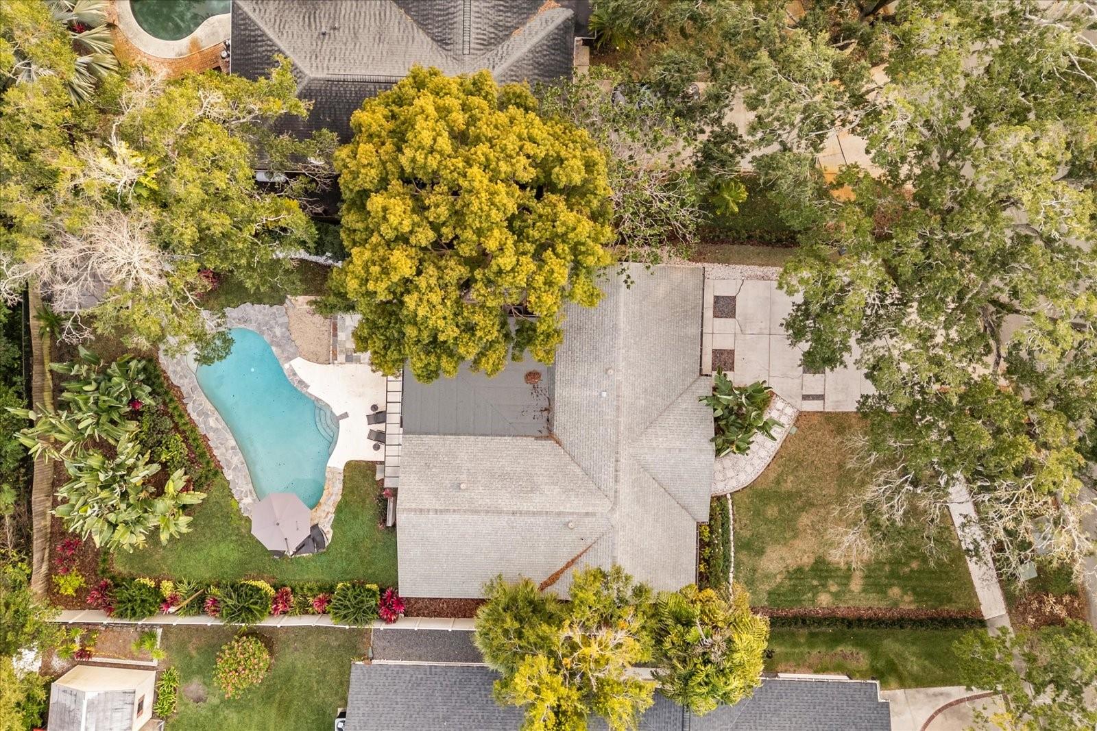 1802 ARBOR PARK DR, WINTER PARK, FL, 32789