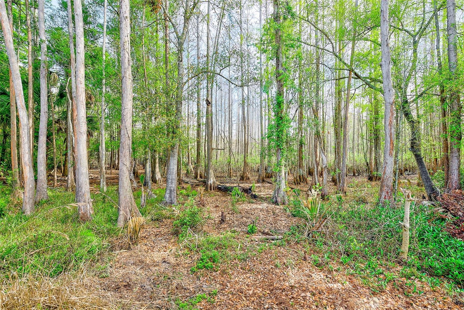 9743 HERMOSILLO DR, NEW PORT RICHEY, FL, 34655