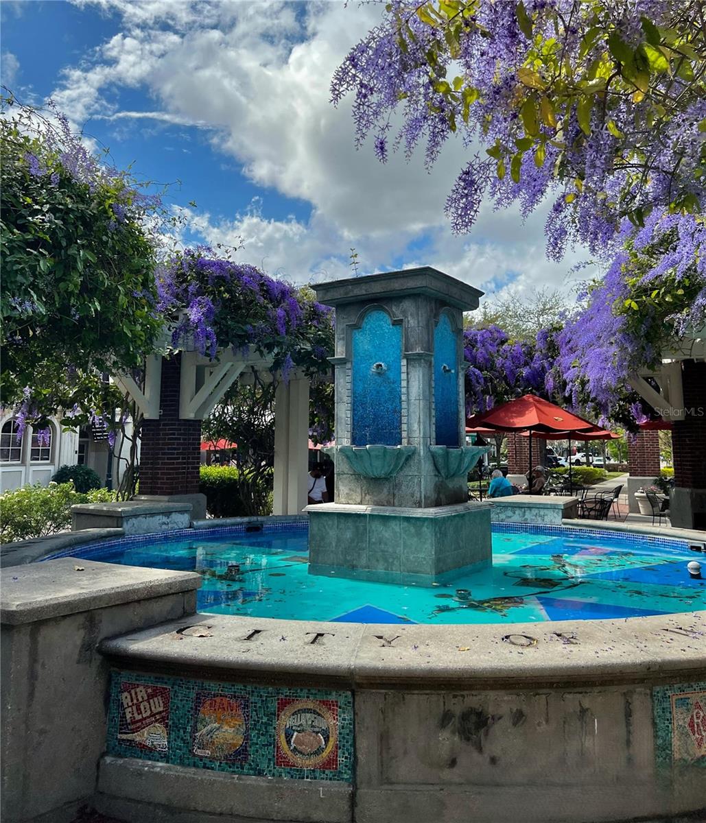 628 ORANGE BELT LOOP, WINTER GARDEN, FL, 34787