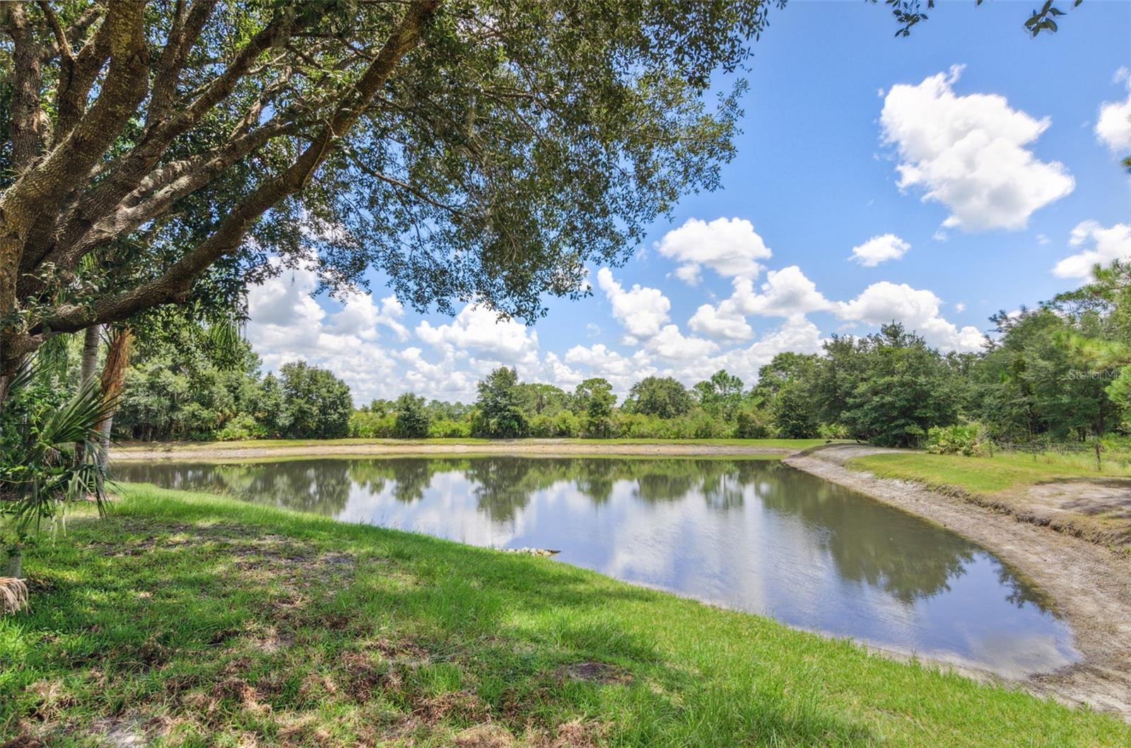 10222 ARBOR SIDE DR, TAMPA, FL, 33647