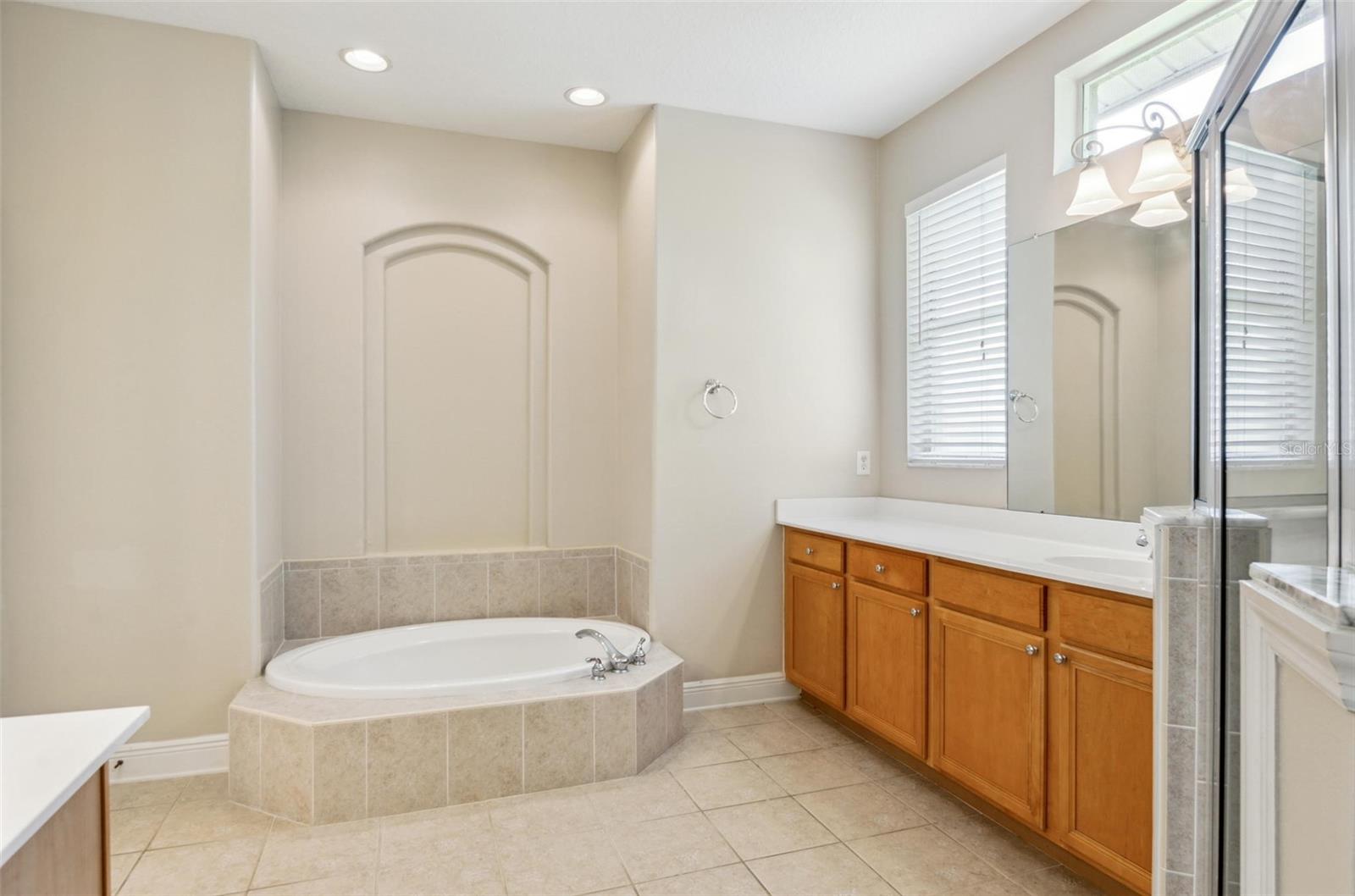 10222 ARBOR SIDE DR, TAMPA, FL, 33647