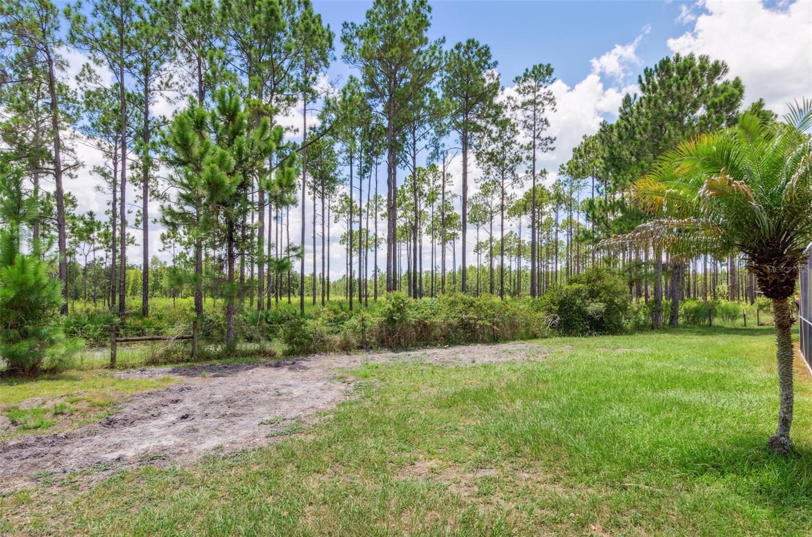 10222 ARBOR SIDE DR, TAMPA, FL, 33647