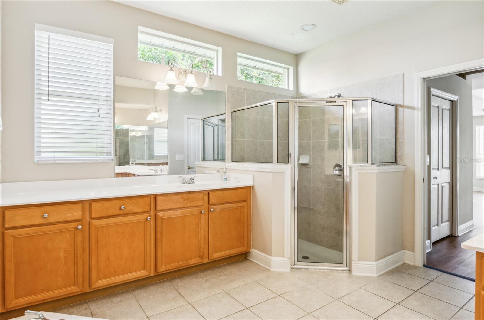 10222 ARBOR SIDE DR, TAMPA, FL, 33647