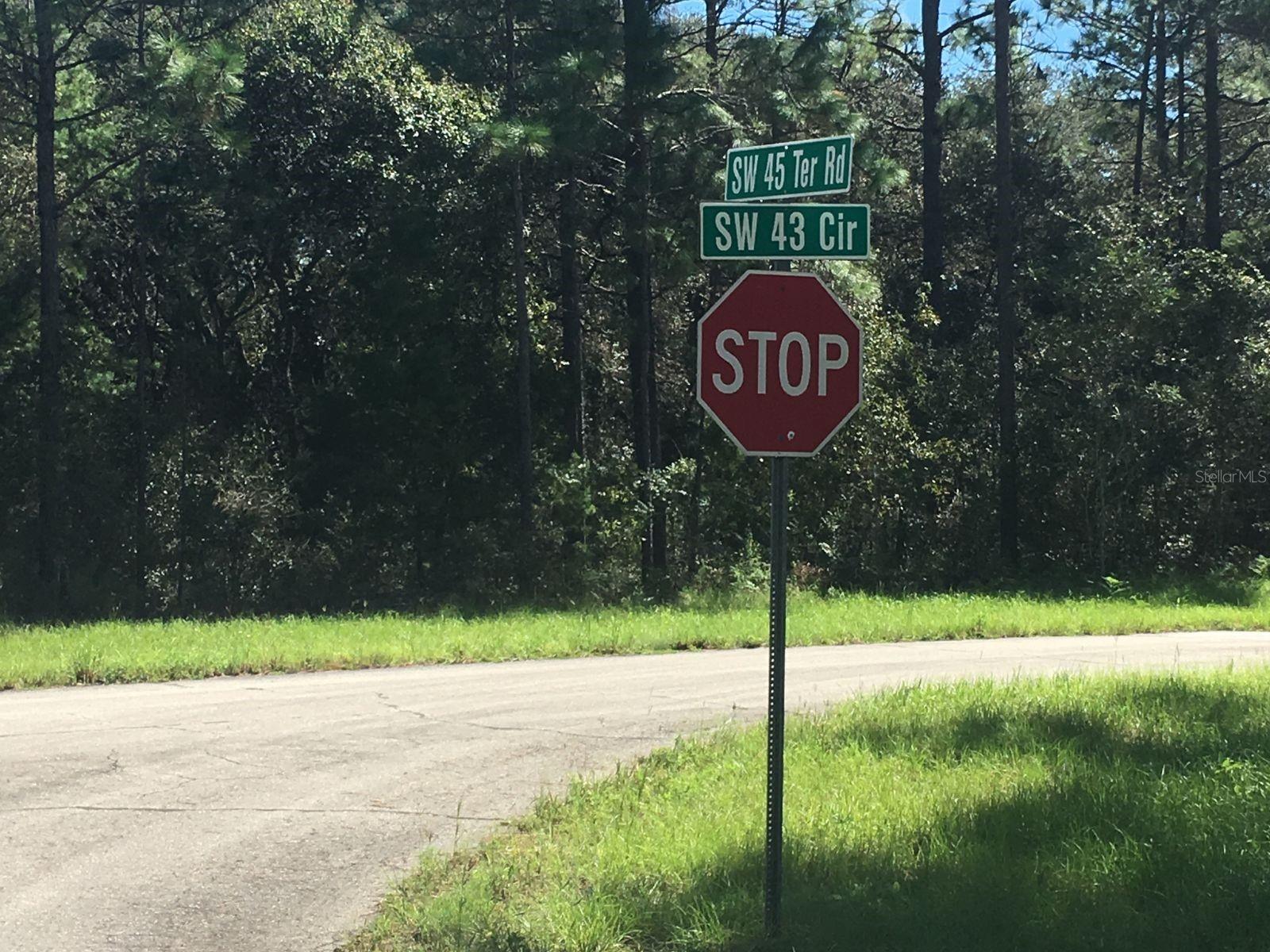 45TH TERRACE RD, OCALA, FL, 34473