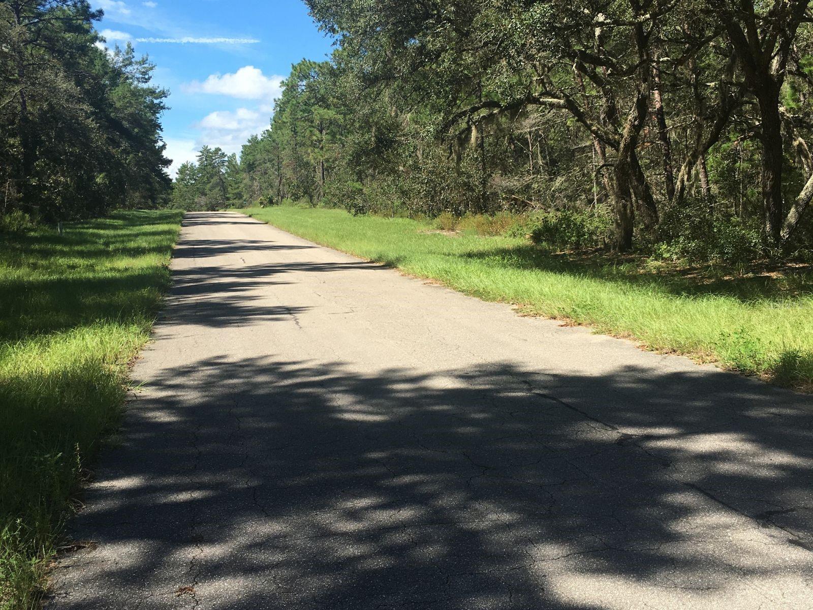 45TH TERRACE RD, OCALA, FL, 34473