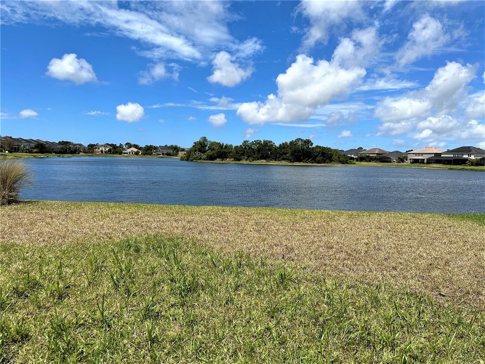 6215 ANISE DR, SARASOTA, FL, 34238