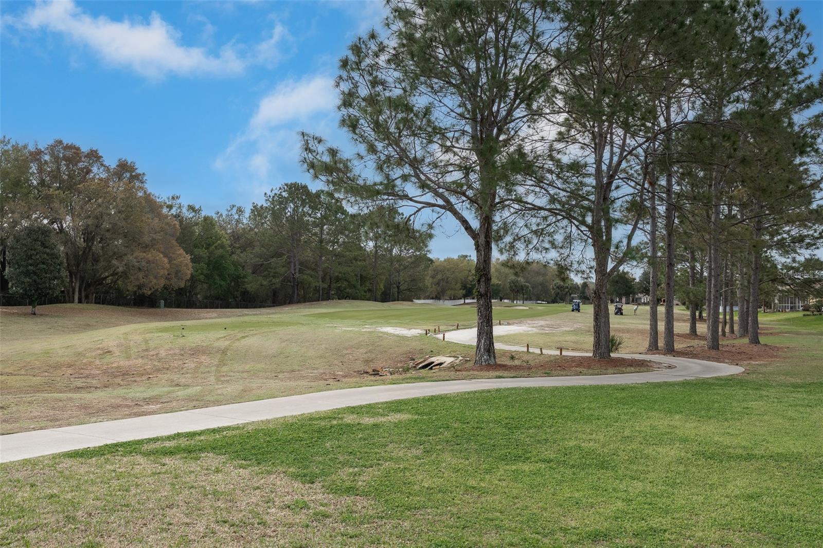 15969 SW 14TH AVENUE RD, OCALA, FL, 34473