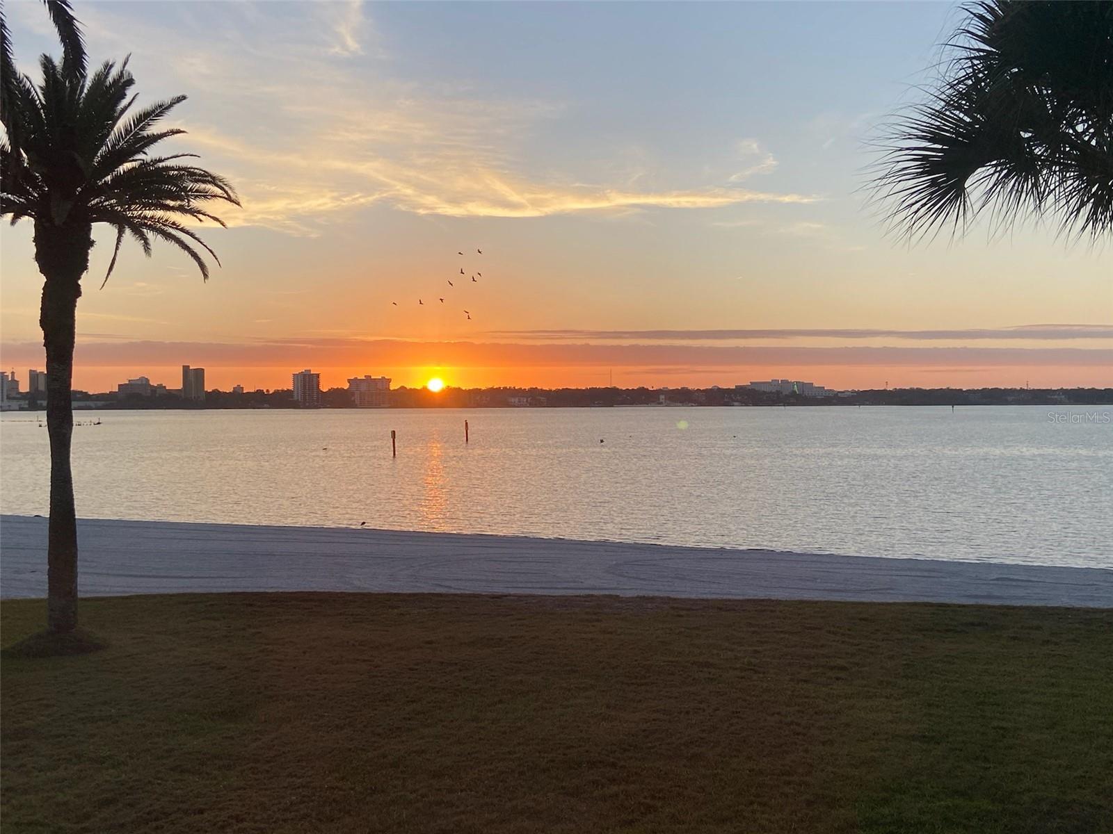 865 S GULFVIEW BLVD #207, CLEARWATER BEACH, FL, 33767
