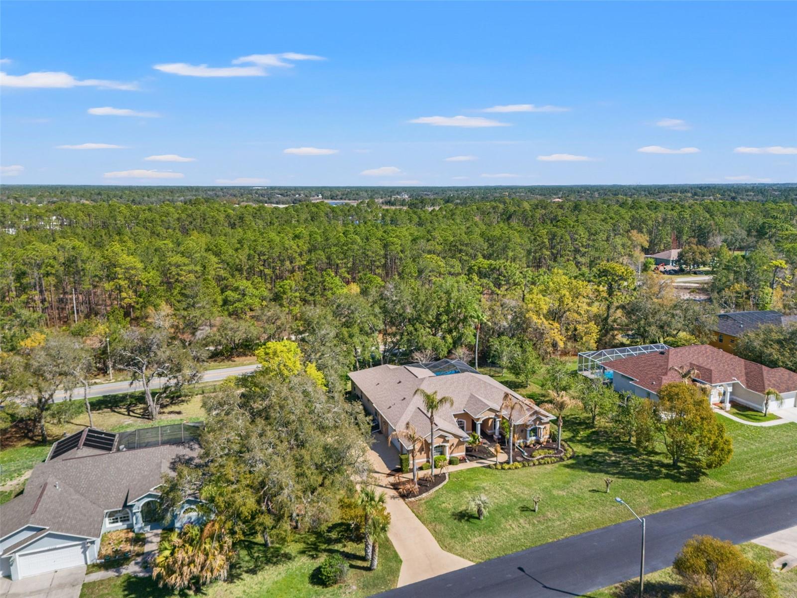 10288 RIDGE TOP LOOP, WEEKI WACHEE, FL, 34613