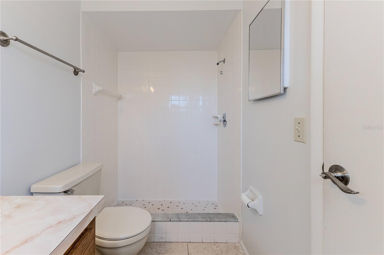 6208 LAYTON AVE, SPRING HILL, FL, 34608