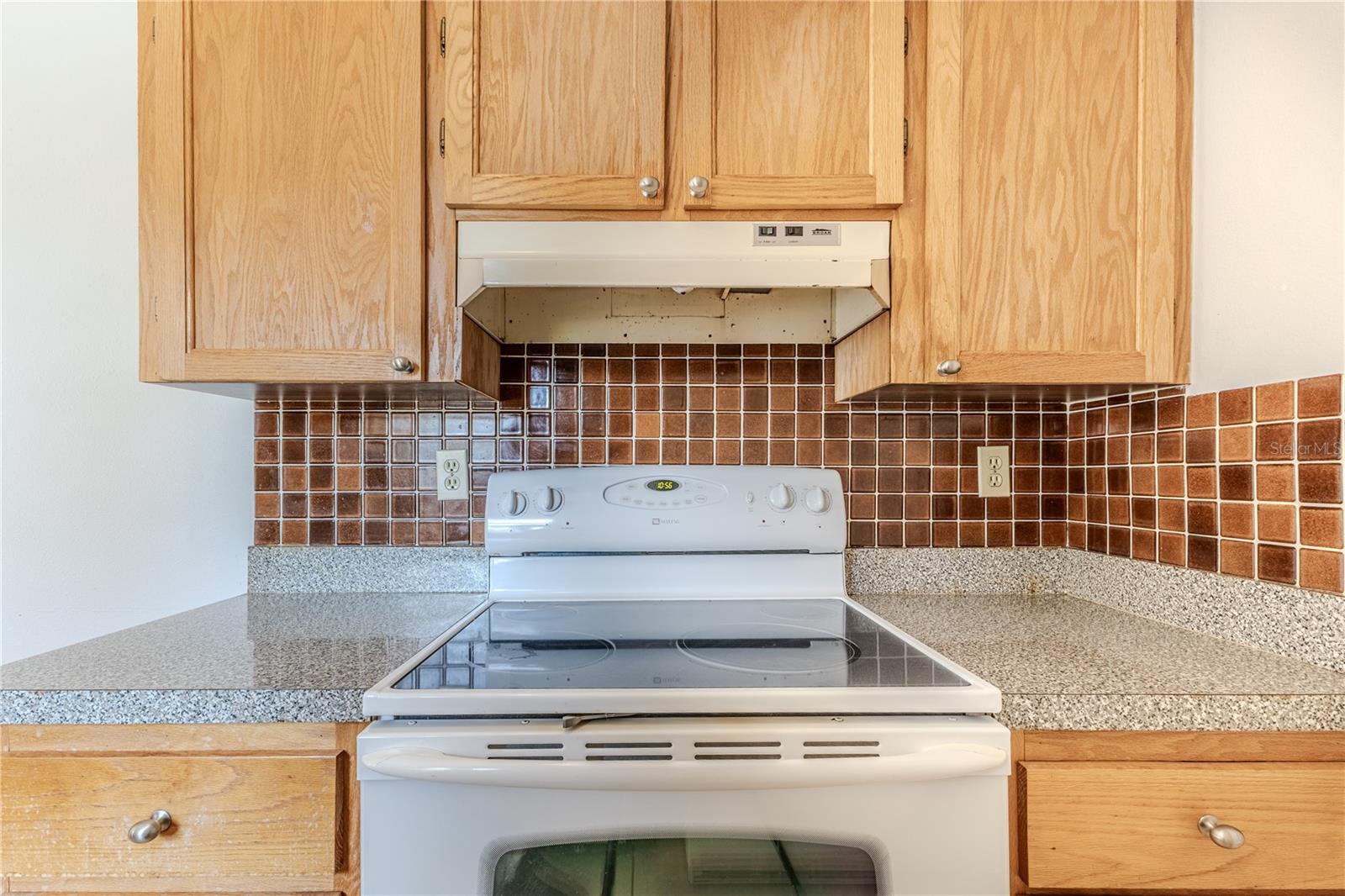 6208 LAYTON AVE, SPRING HILL, FL, 34608