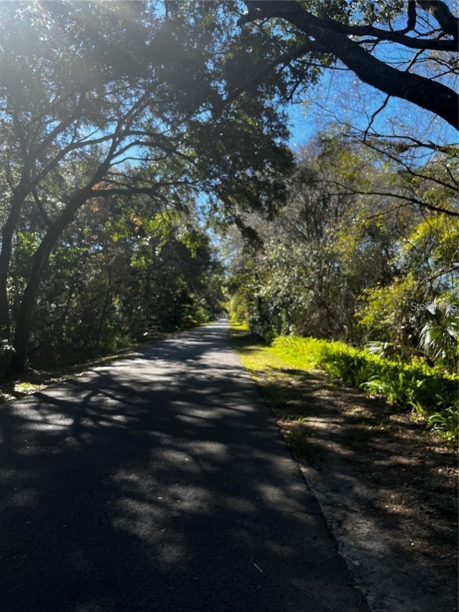 110 SKYTRAIL, TAMPA, FL, 33625