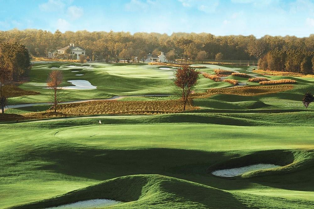 19987 ENGLISH WALNUT PL, BROOKSVILLE, FL, 34601