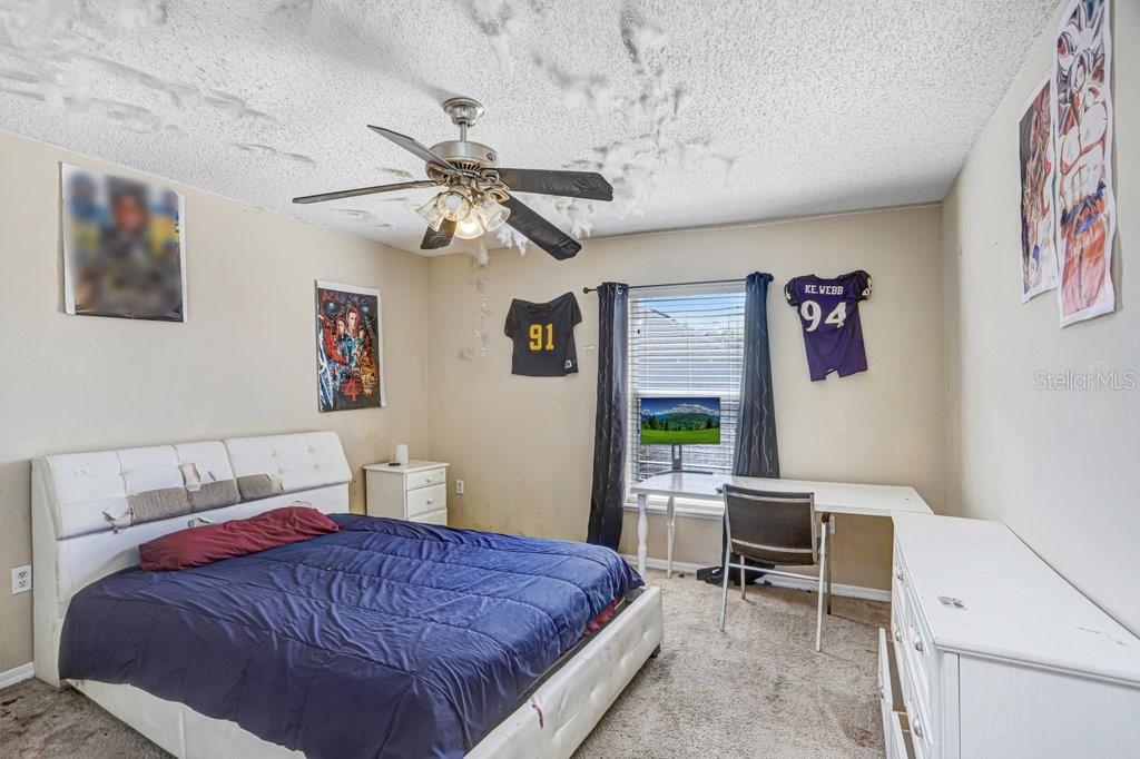10004 CREEK BLUFF DR, RIVERVIEW, FL, 33578