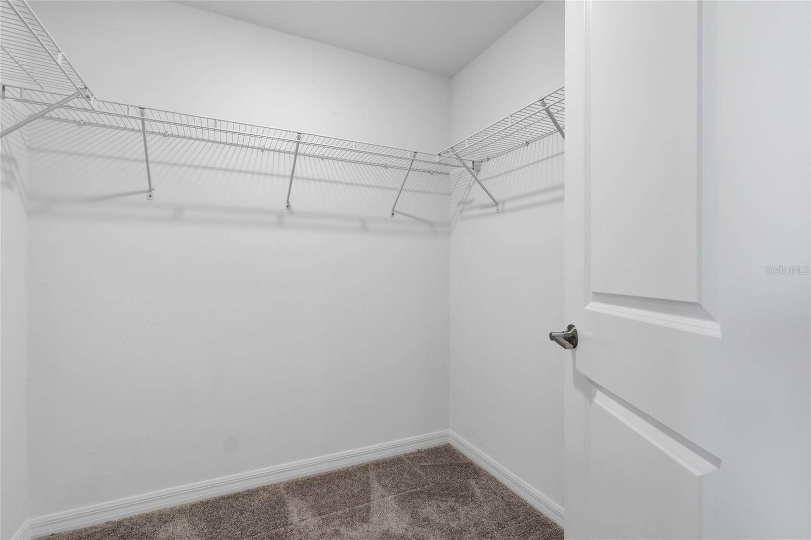 32127 POWDERPUFF MIMOSA DR, SAN ANTONIO, FL, 33576