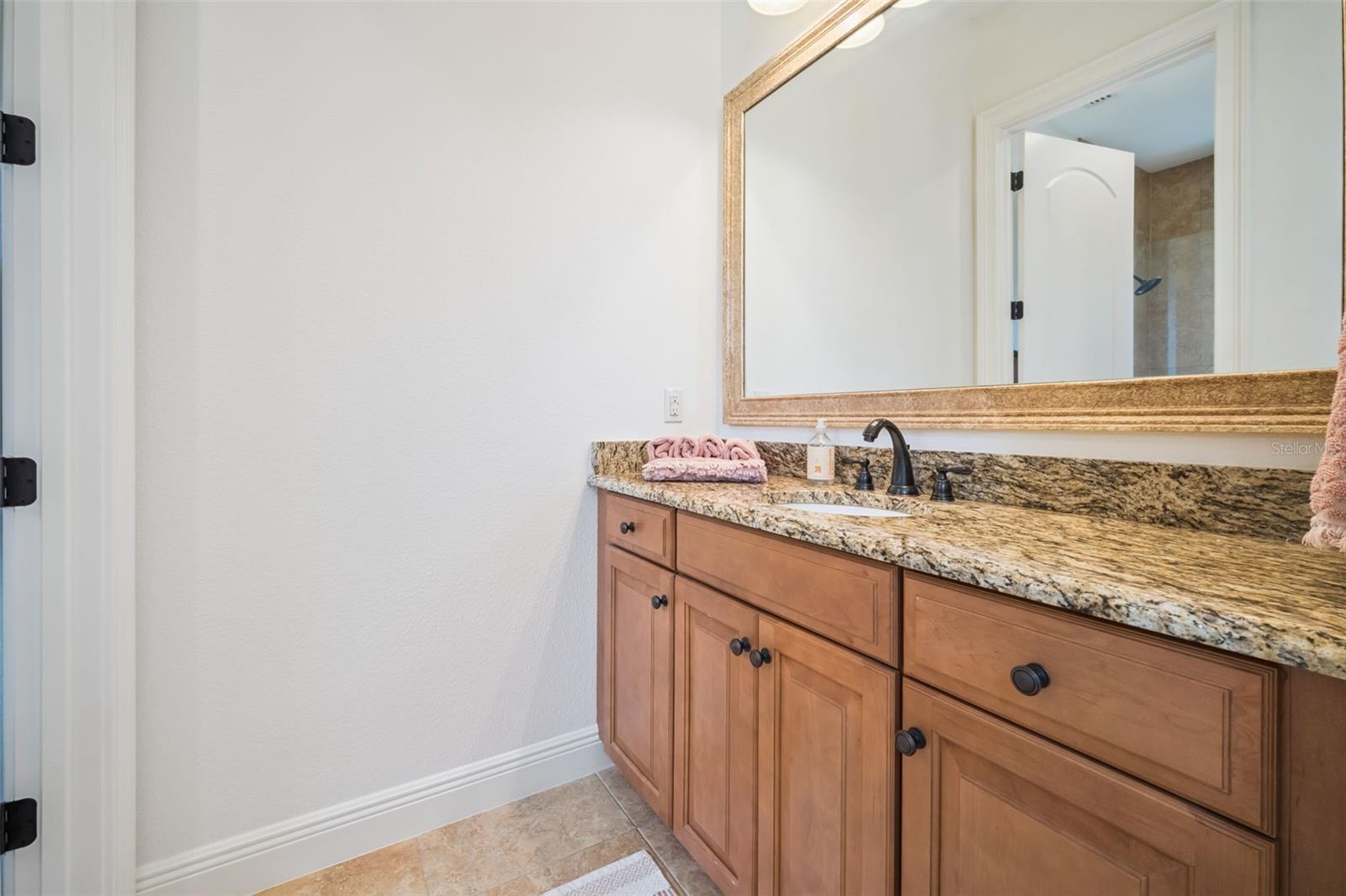 2018 CASTELLI BLVD, MOUNT DORA, FL, 32757