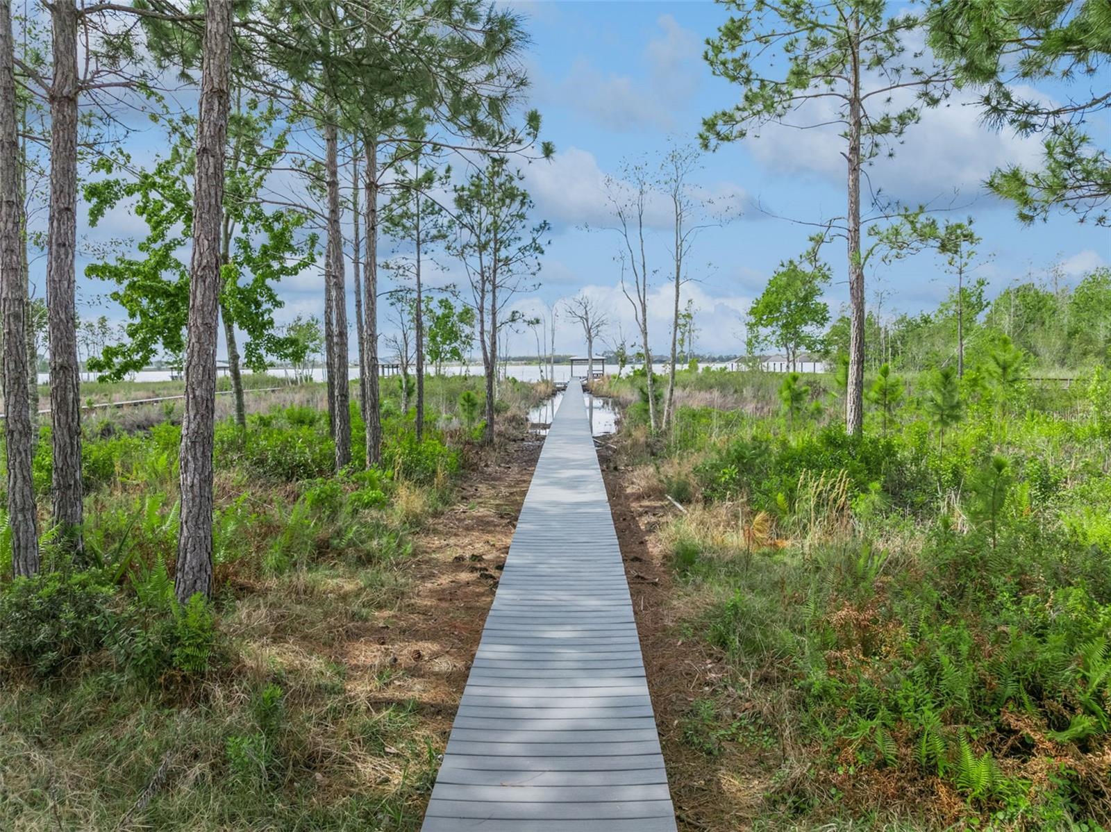 2018 CASTELLI BLVD, MOUNT DORA, FL, 32757