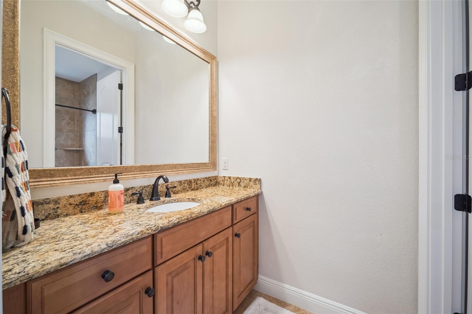 2018 CASTELLI BLVD, MOUNT DORA, FL, 32757