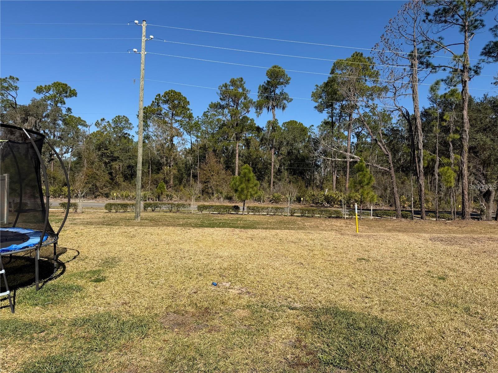 4234 BRIDLE BOOSTER WAY, LAKELAND, FL, 33801