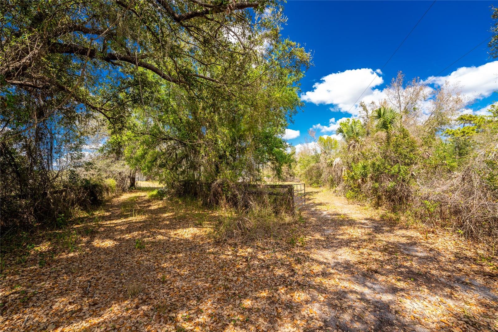 31840 WASHINGTON LOOP RD, PUNTA GORDA, FL, 33982