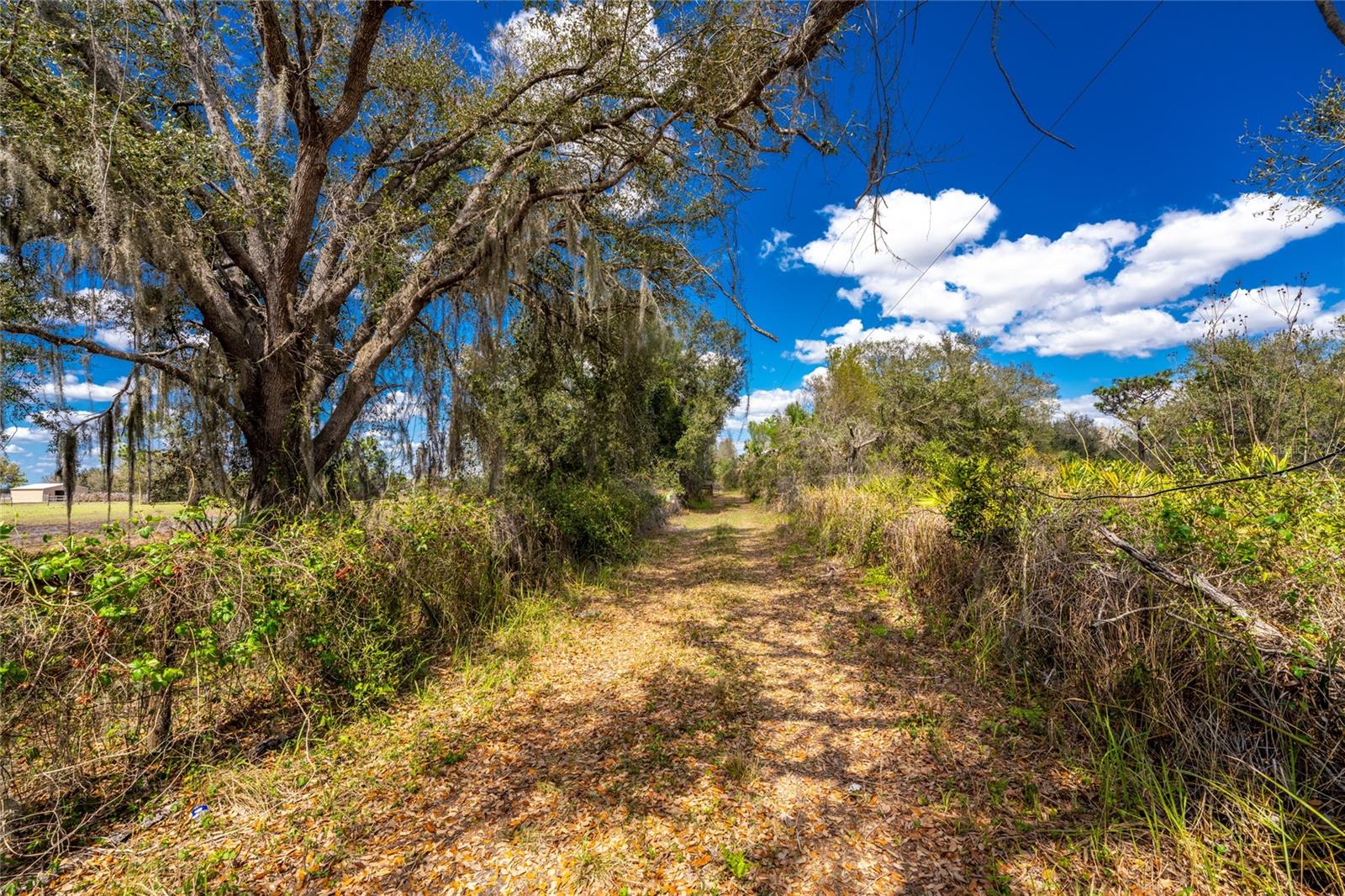 31840 WASHINGTON LOOP RD, PUNTA GORDA, FL, 33982