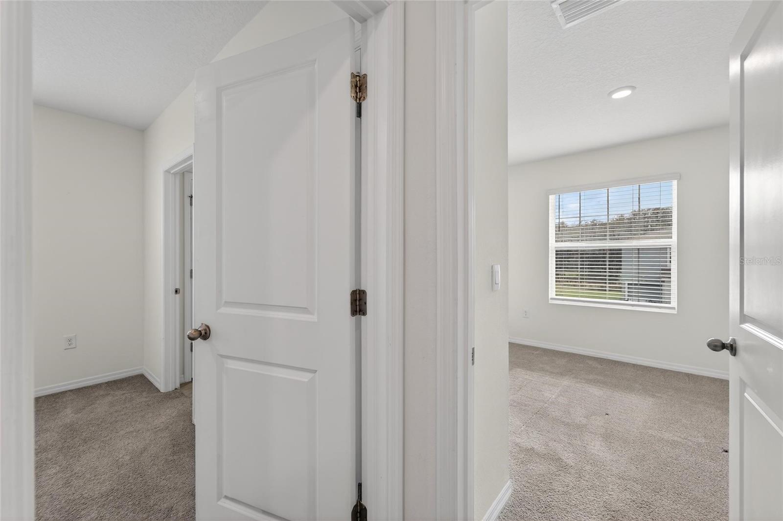 32194 TURTLE GRACE LOOP, WESLEY CHAPEL, FL, 33545