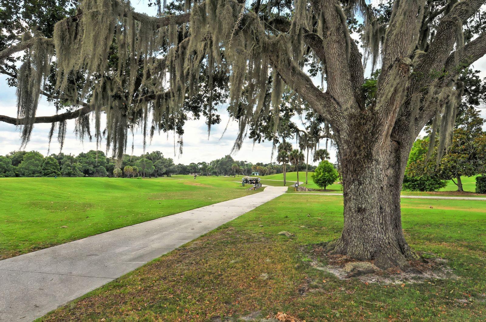 4114 MACAULAY LN, SARASOTA, FL, 34241