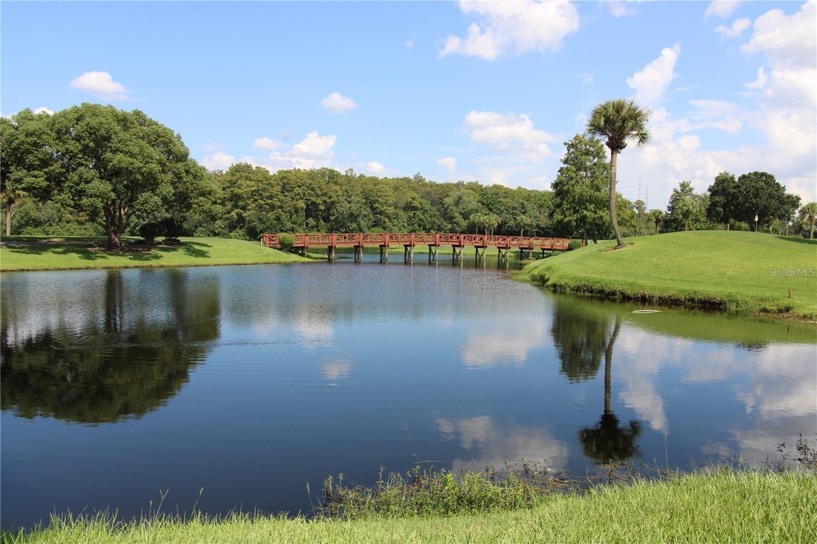 2966 COTTAGE GROVE CT #1701, ORLANDO, FL, 32822