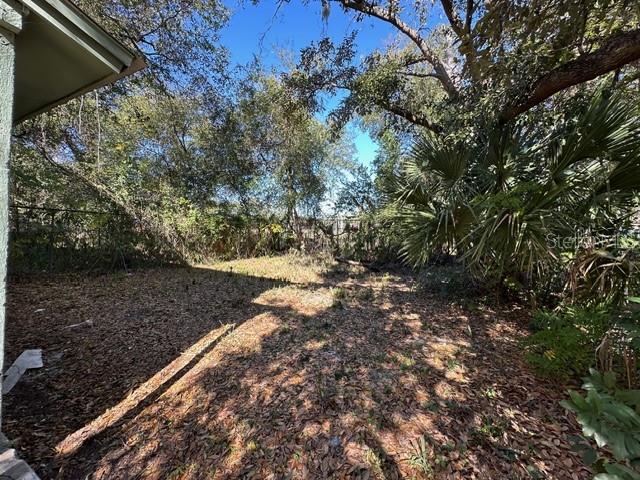 1125 PHELPS ST, JACKSONVILLE, FL, 32206