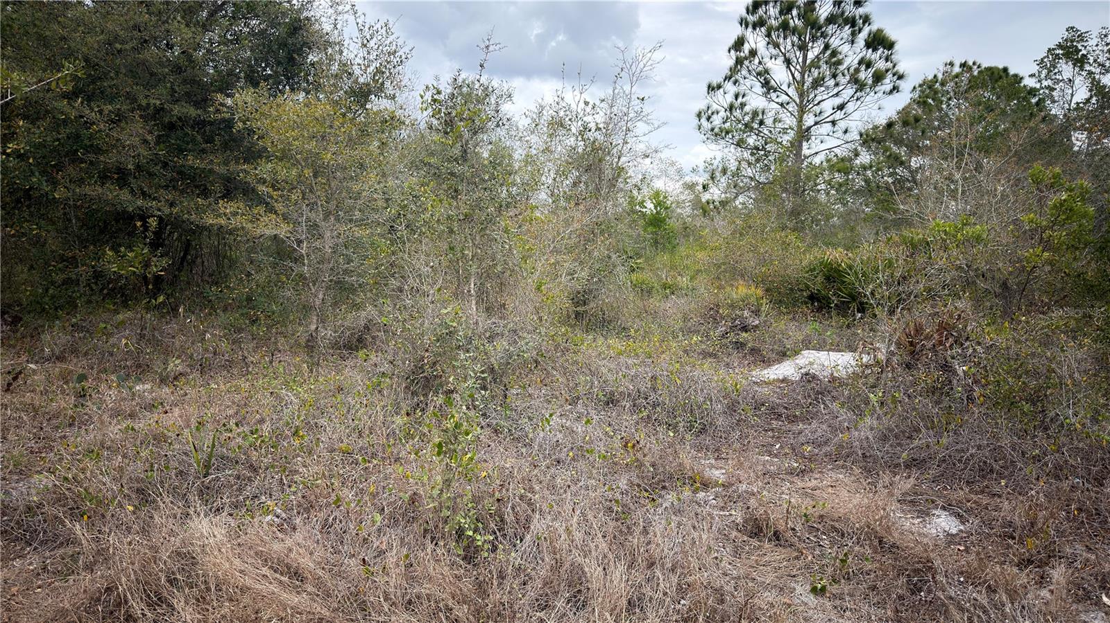 336 PERSHING AVE, LAKE PLACID, FL, 33852