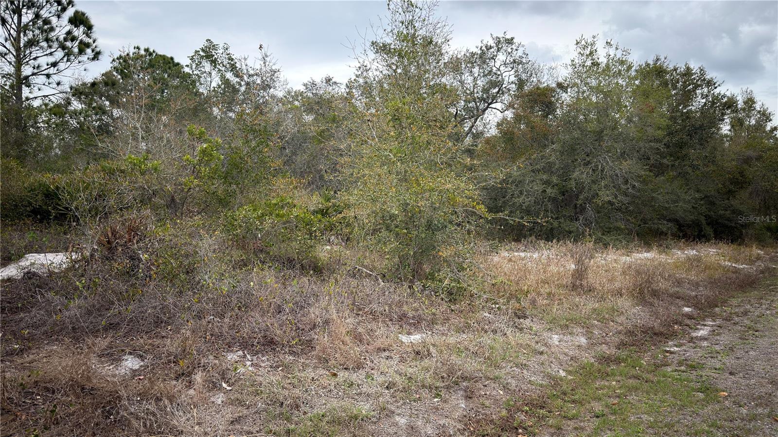 336 PERSHING AVE, LAKE PLACID, FL, 33852