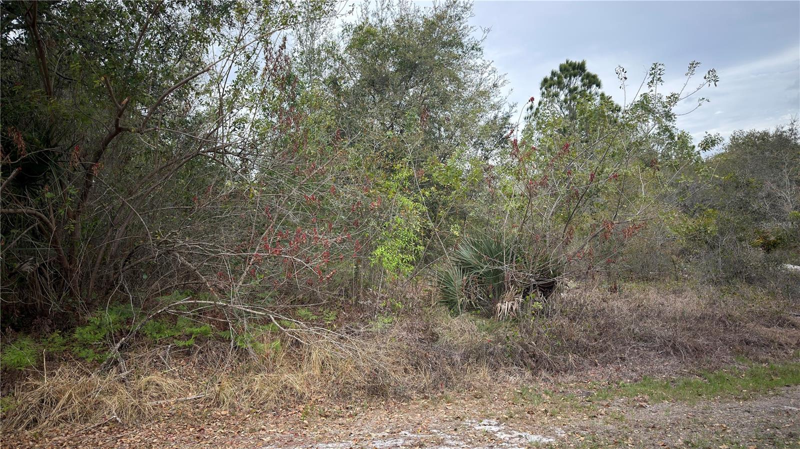 336 PERSHING AVE, LAKE PLACID, FL, 33852