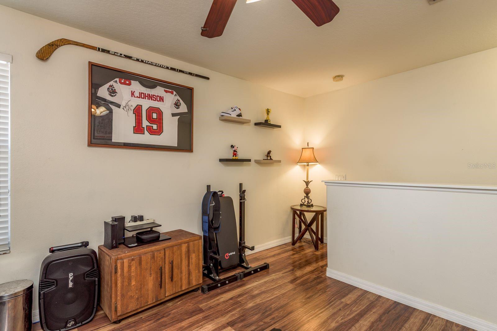 17902 CUNNINGHAM CT, LAND O LAKES, FL, 34638