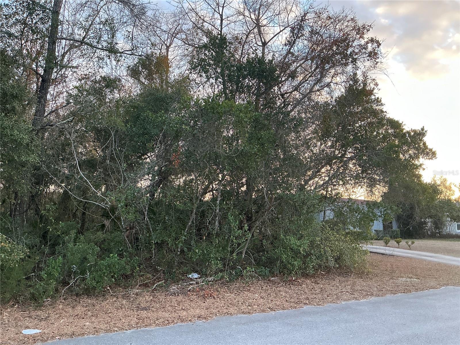 SW 138TH ST, OCALA, FL, 34473