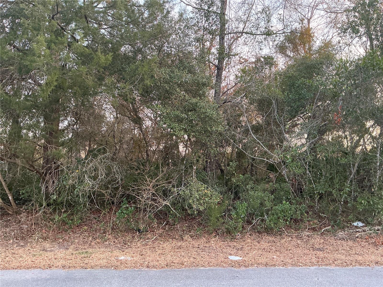 SW 138TH ST, OCALA, FL, 34473