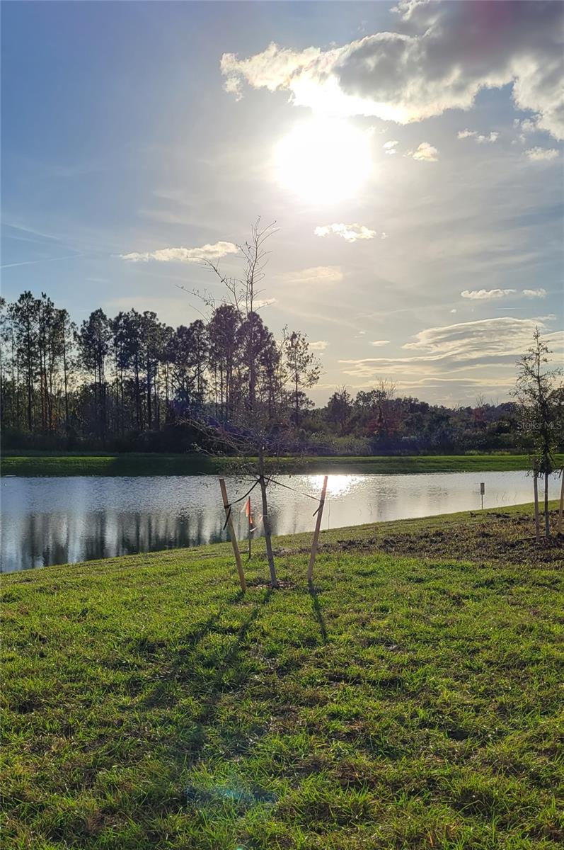 538 HATTERAS RD, DAVENPORT, FL, 33837