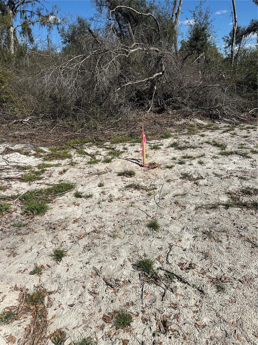 NE 688TH AVE, CROSS CITY, FL, 32628