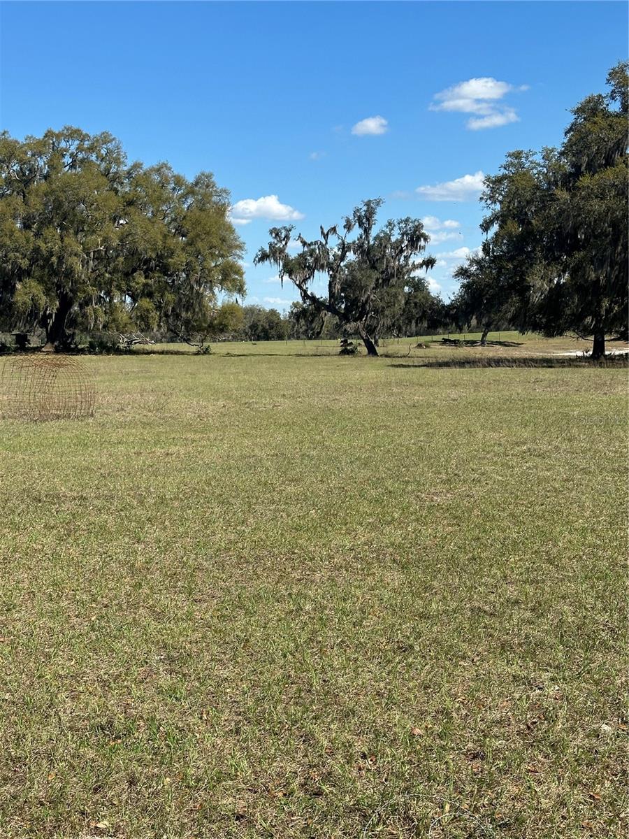 NE 688TH AVE, CROSS CITY, FL, 32628