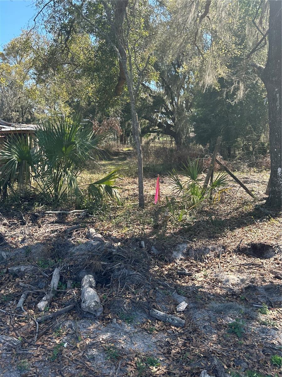 NE 688TH AVE, CROSS CITY, FL, 32628