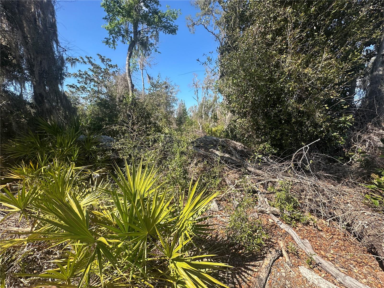 NE 688TH AVE, CROSS CITY, FL, 32628