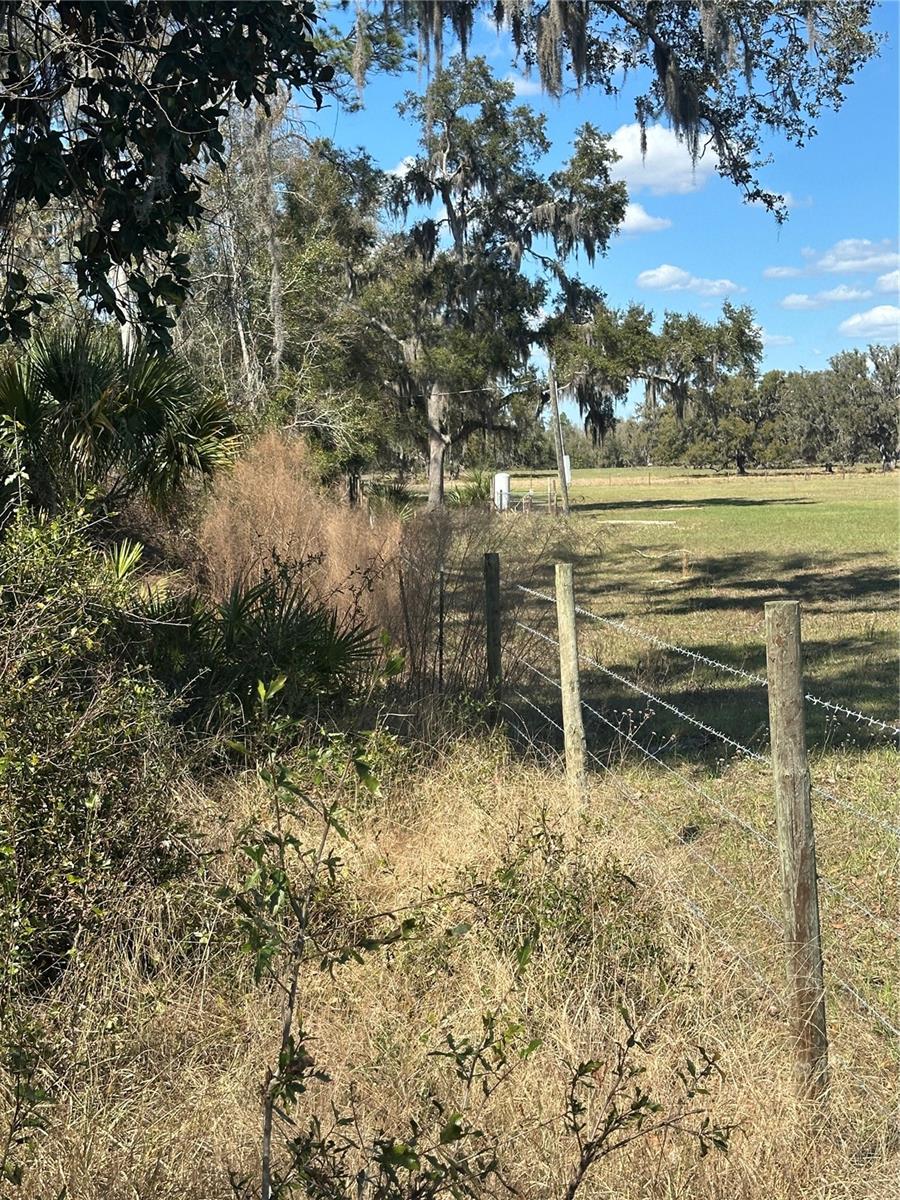 NE 688TH AVE, CROSS CITY, FL, 32628