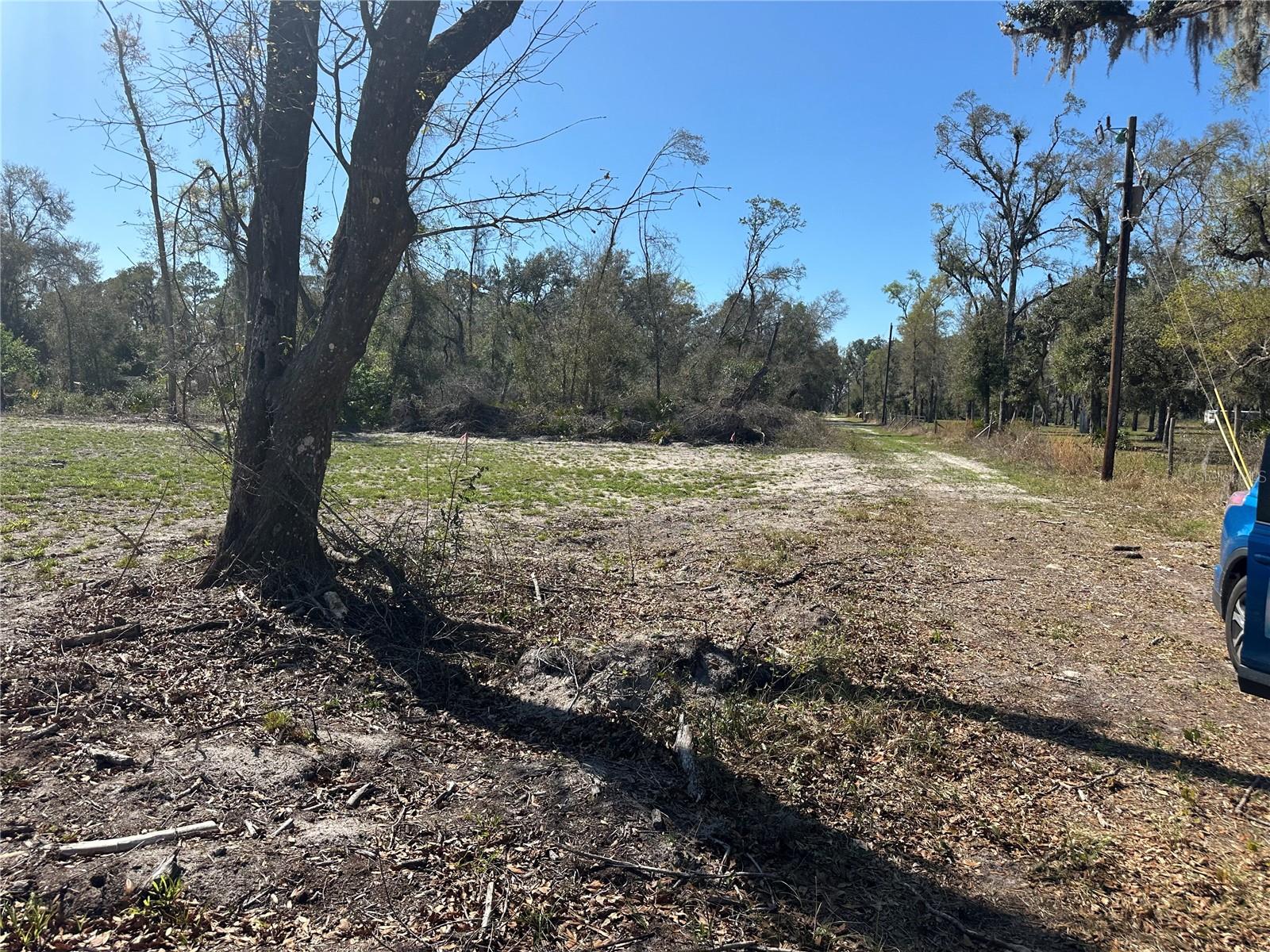 NE 688TH AVE, CROSS CITY, FL, 32628