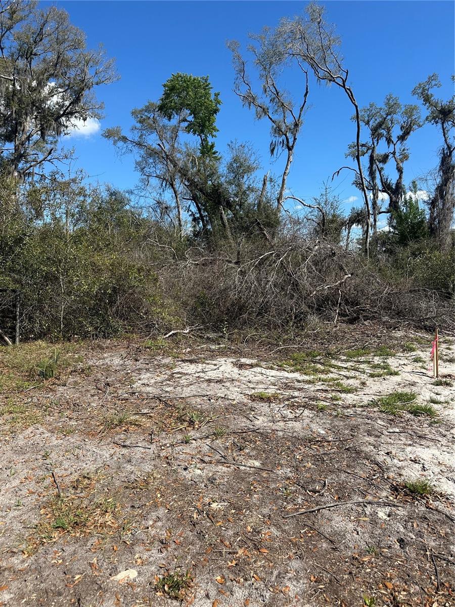 NE 688TH AVE, CROSS CITY, FL, 32628