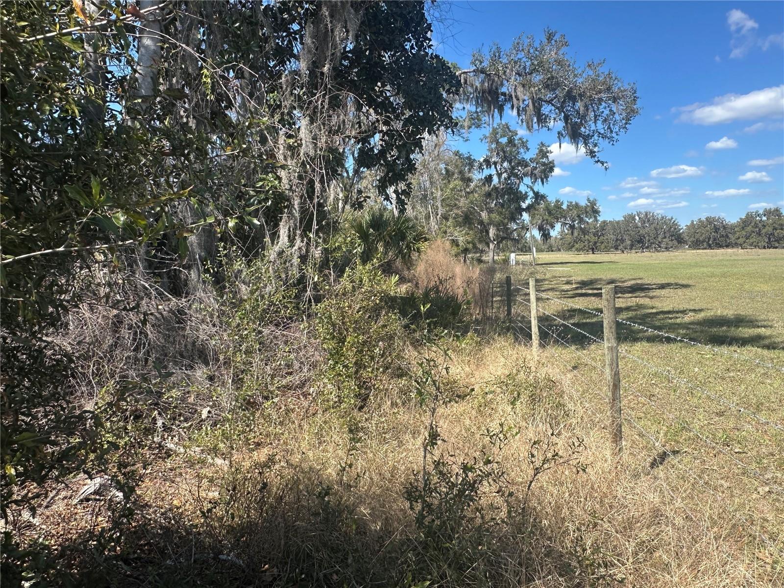NE 688TH AVE, CROSS CITY, FL, 32628