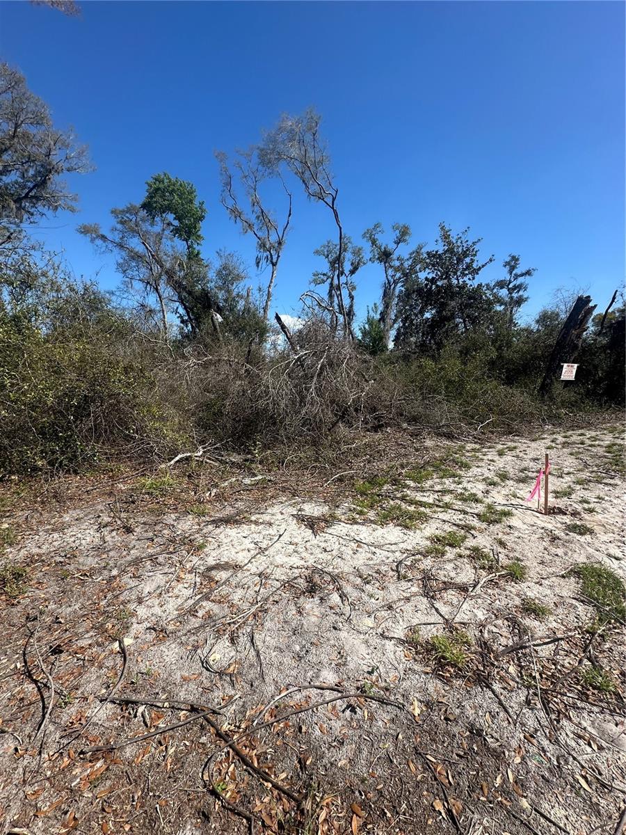 NE 688TH AVE, CROSS CITY, FL, 32628