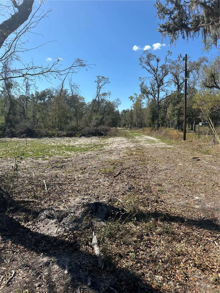NE 688TH AVE, CROSS CITY, FL, 32628