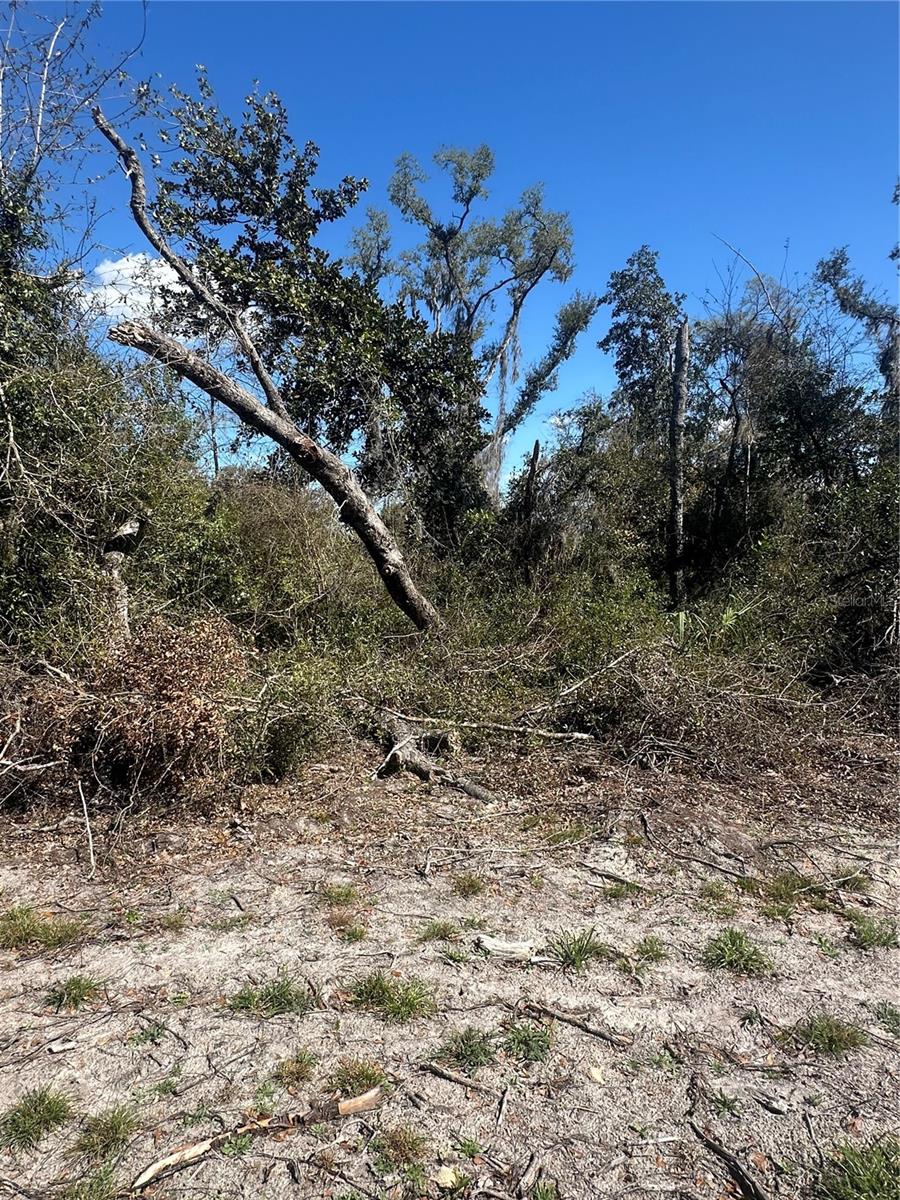 NE 688TH AVE, CROSS CITY, FL, 32628