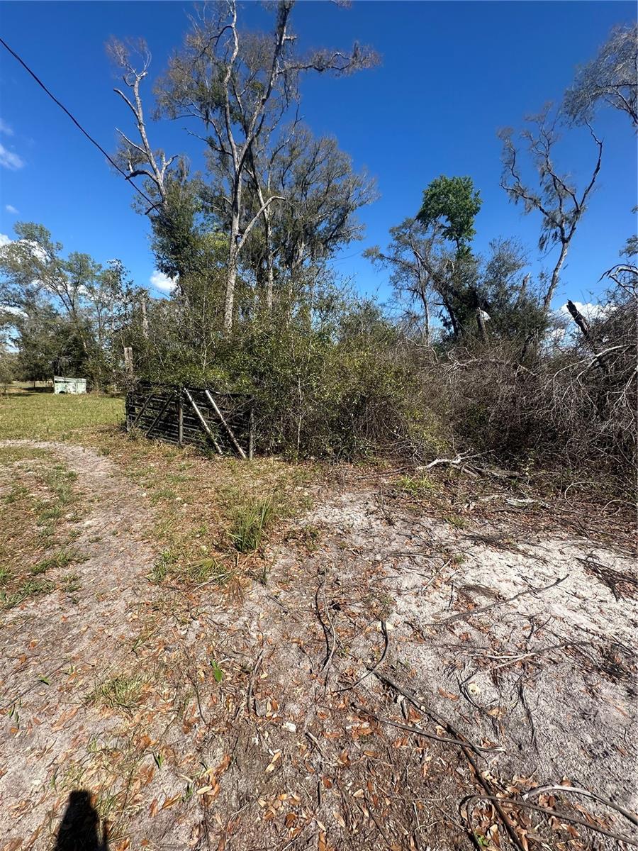 NE 688TH AVE, CROSS CITY, FL, 32628