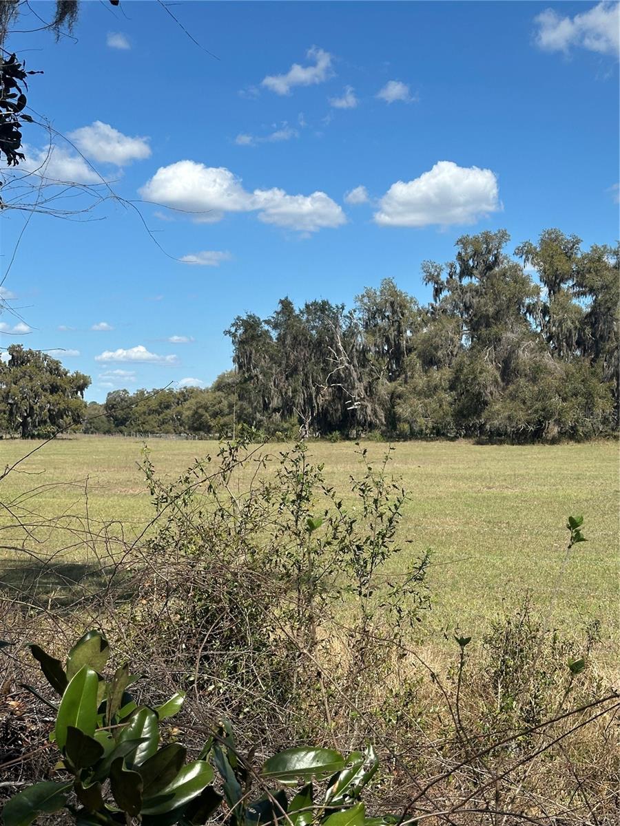 NE 688TH AVE, CROSS CITY, FL, 32628